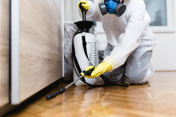 Best Termite Control Services  in Rose Lodge, OR