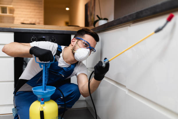 Best Pest Control Near Me  in Rose Lodge, OR