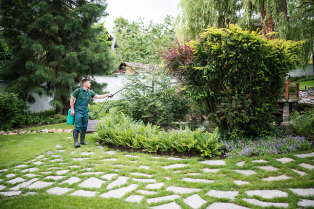 Best Best Pest Control Companies  in Rose Lodge, OR
