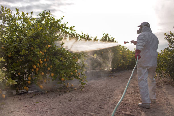 Wildlife Control Services in Rose Lodge, OR