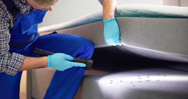Best Pest Control Treatment  in Rose Lodge, OR