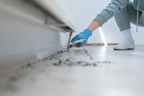 Pest Control Cost in Rose Lodge, OR